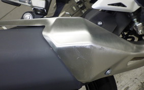 KAWASAKI NINJA 250 2024 EX250Y