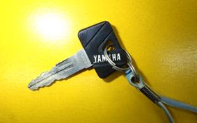 YAMAHA SRX250 51Y