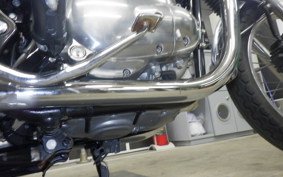 KAWASAKI W800 2013 EJ800A