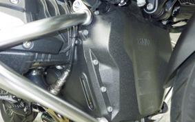 BMW R1300GS 2024