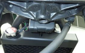 HONDA REBEL 250 E-Clutch 2010 MC49