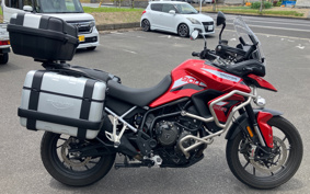 TRIUMPH TIGER 900 2021 TRE64D