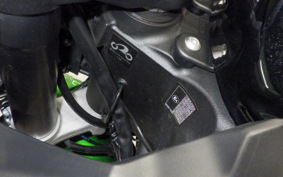 KAWASAKI NINJA 1000SX 2023 ZXT02K