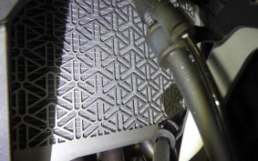 KAWASAKI ZX-4R SE 2024 ZX400P