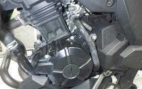 KAWASAKI VERSYS-X 250 A LE250D