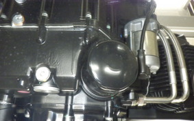 DUCATI SCRAMBLER ICON 2024