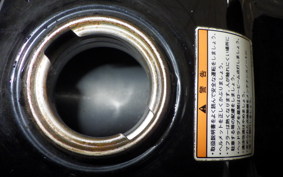YAMAHA TW225