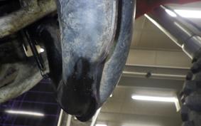 HONDA CR125R 2005 JE01