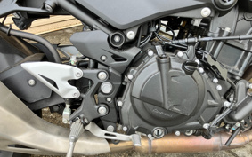 KAWASAKI Z250 ABS EX250P