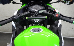 KAWASAKI NINJA 250 EX250L