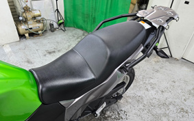 KAWASAKI VERSYS-X 250 ABS LE250D