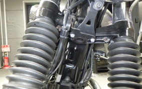 KAWASAKI W800 2024 EJ800E