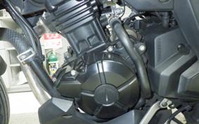 KAWASAKI VERSYS-X 250 A 2021 LE250D