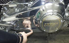HARLEY FLSTFI1920 2025