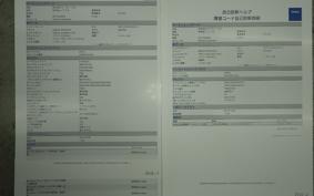 HARLEY XL1200NS 2019