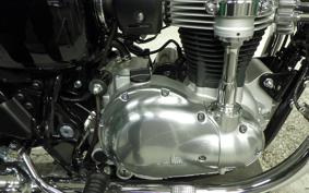 KAWASAKI W800 2024 EJ800E