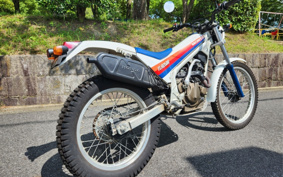 HONDA TLR250R MD18