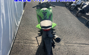 KAWASAKI NINJA250R