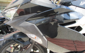 KAWASAKI NINJA 250 EX250P