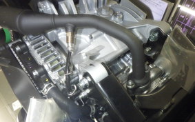 YAMAHA CYGNUSｸﾞﾘﾌｧｽ SEJ4J