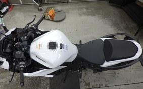 KAWASAKI NINJA1100SX 2025