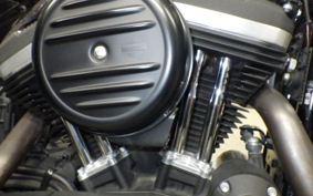 HARLEY XL883N 2017