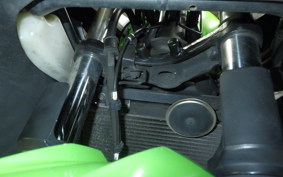 KAWASAKI NINJA 250 ABS 2018 EX250L
