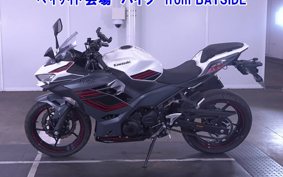 OTHER NINJA 400-2 2023