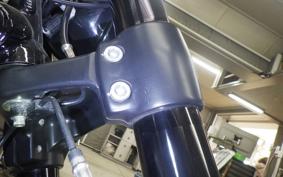 HARLEY NIGHT ROD 1250 SP 2014