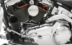 HARLEY HARLEY FLSTC 2008 BW5