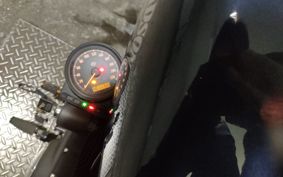 HARLEY XL883N 2015 LE2