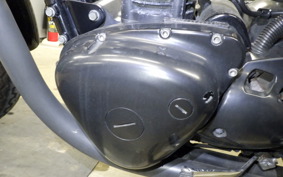 KAWASAKI W800 2013 EJ800A