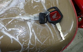 HONDA C50 SUPER CUB 2010 AA09