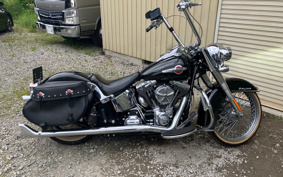HARLEY FLSTC 2017 BWV