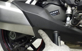KAWASAKI NINJA 1000SX 2024 ZXT02K
