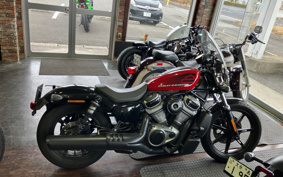 HARLEY RH975 NIGHT STAR 2022 ZH1