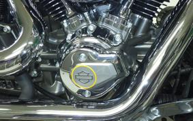 HARLEY FLSTFI1920 2025