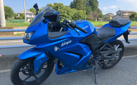 KAWASAKI NINJA 250R EX250K