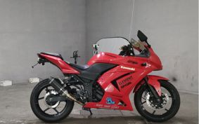 KAWASAKI NINJA250R EX250K