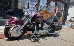 HARLEY HARLEY FLSTC 1995 BJL