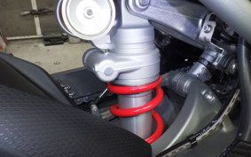 BMW S1000RR M DDC 2025