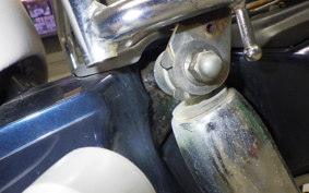 HONDA C110 SUPER CUB
