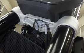 HUSQVARNA ENDURO 701 2019