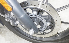 OTHER +ENFIELD ﾒﾃｵ350 2024