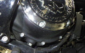 HARLEY XL883N 2019