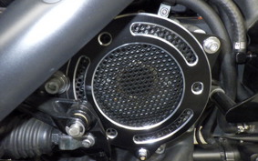 HARLEY XL1200CX 2017