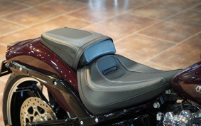HARLEY FXBRS 2021 YHK