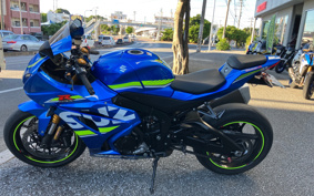 SUZUKI GSX-R1000R ABS 2017 DM11G