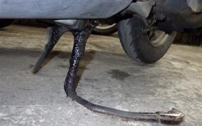 HONDA DIO Gen.4 AF35