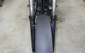 KAWASAKI 250TR 2019 BJ250F